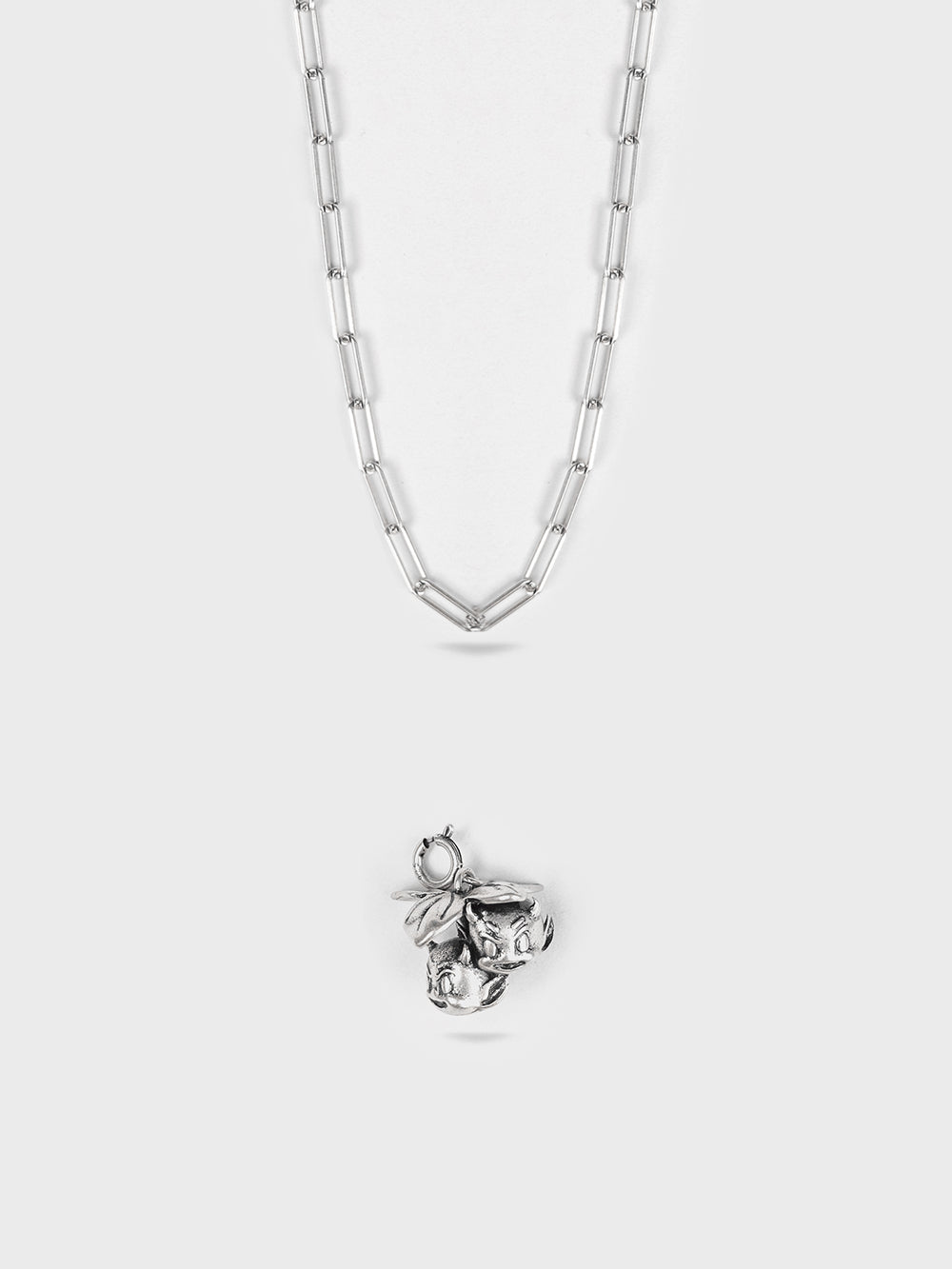 Necklace & Charm Bundle