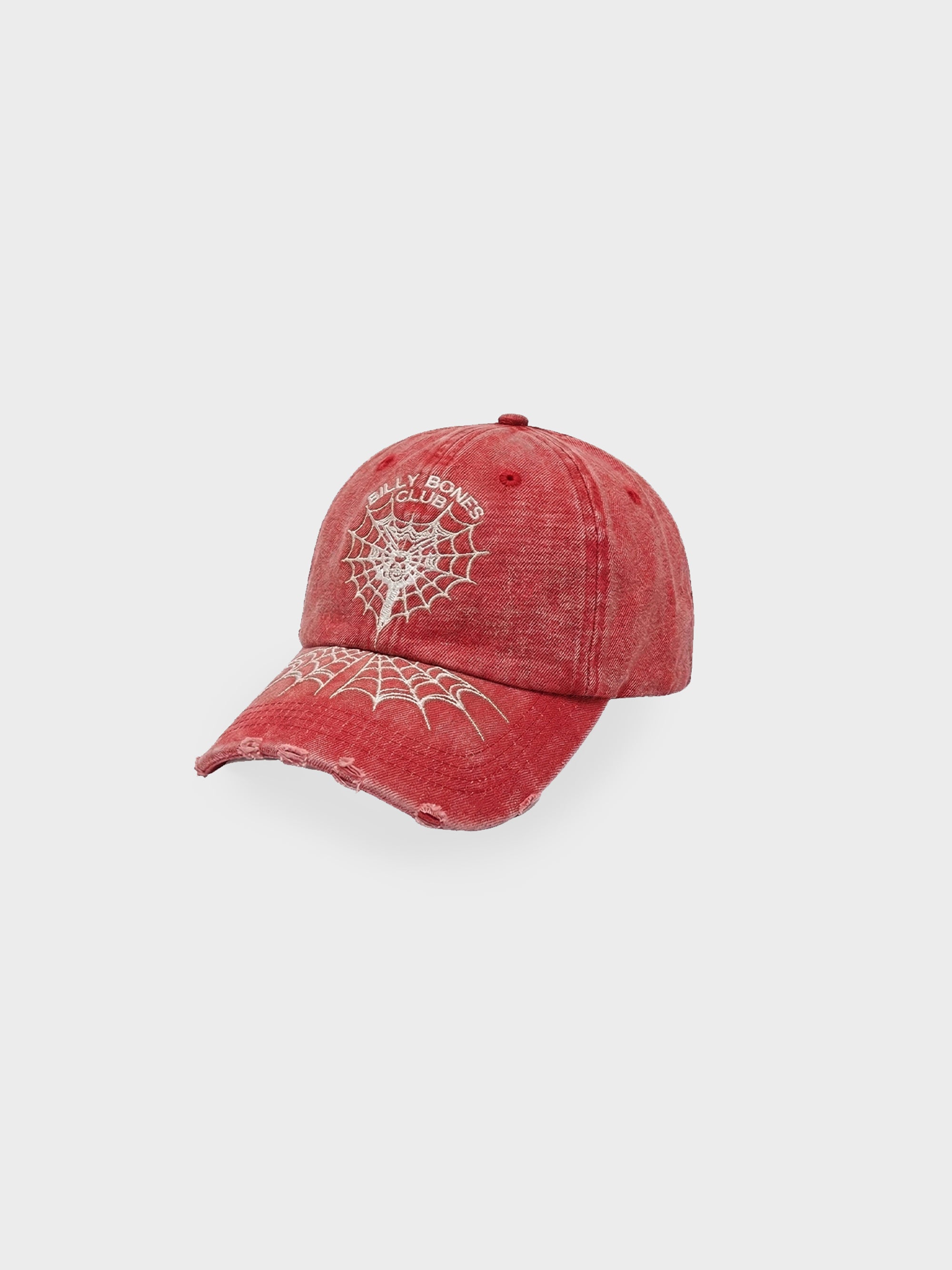 Caught In My Web Dad Cap - Washed Red